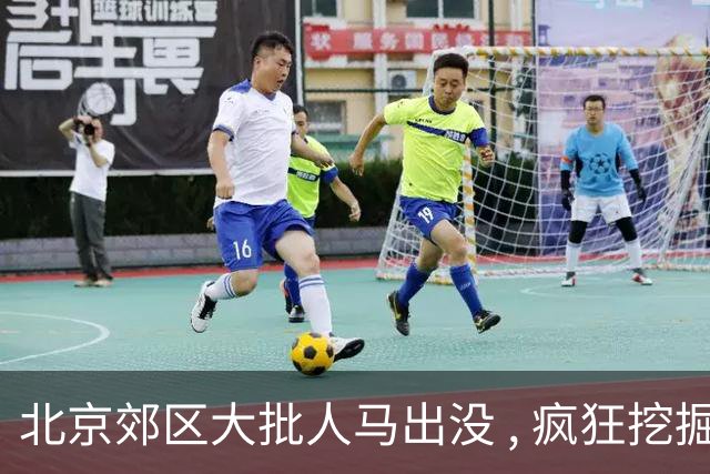 北京郊区大批人马出没 , 疯狂挖掘神秘“黑疙瘩” , 因滥采已岌岌可危